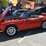 DSC_0145_00102 (October 07, 2023)